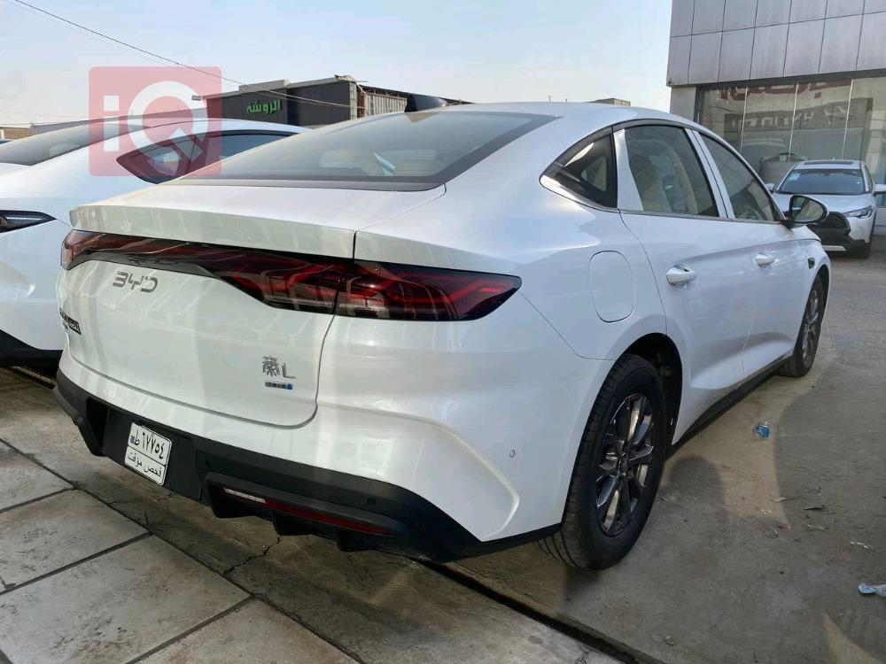 بي واي دي كوين L DM-i